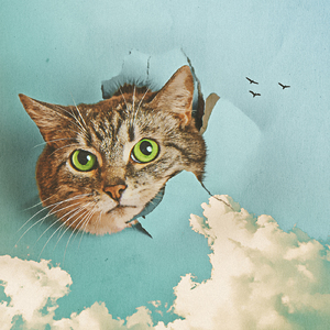 玩弄jaPen白女嫩少妇HD四川搡BB
