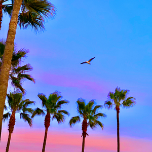 玩弄jaPen白女嫩少妇HD四川搡BB
