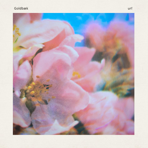 玩弄jaPen白女嫩少妇HD四川搡BB
